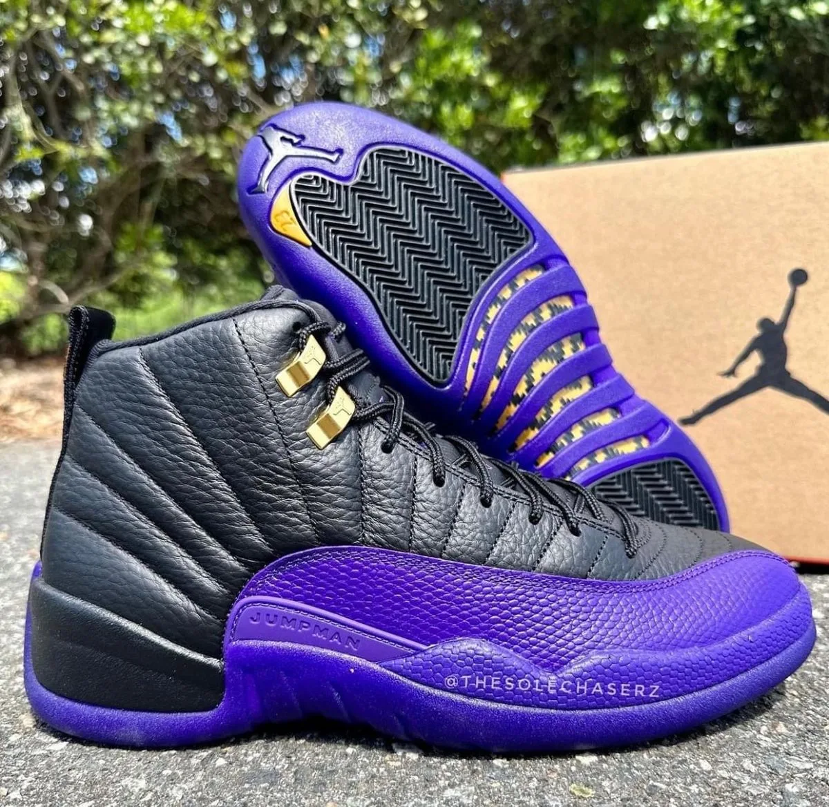 Jordan Retro 12 Negra Morada